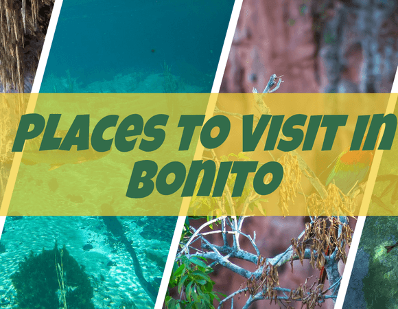 Best Tourist Attractions in Bonito Brazil