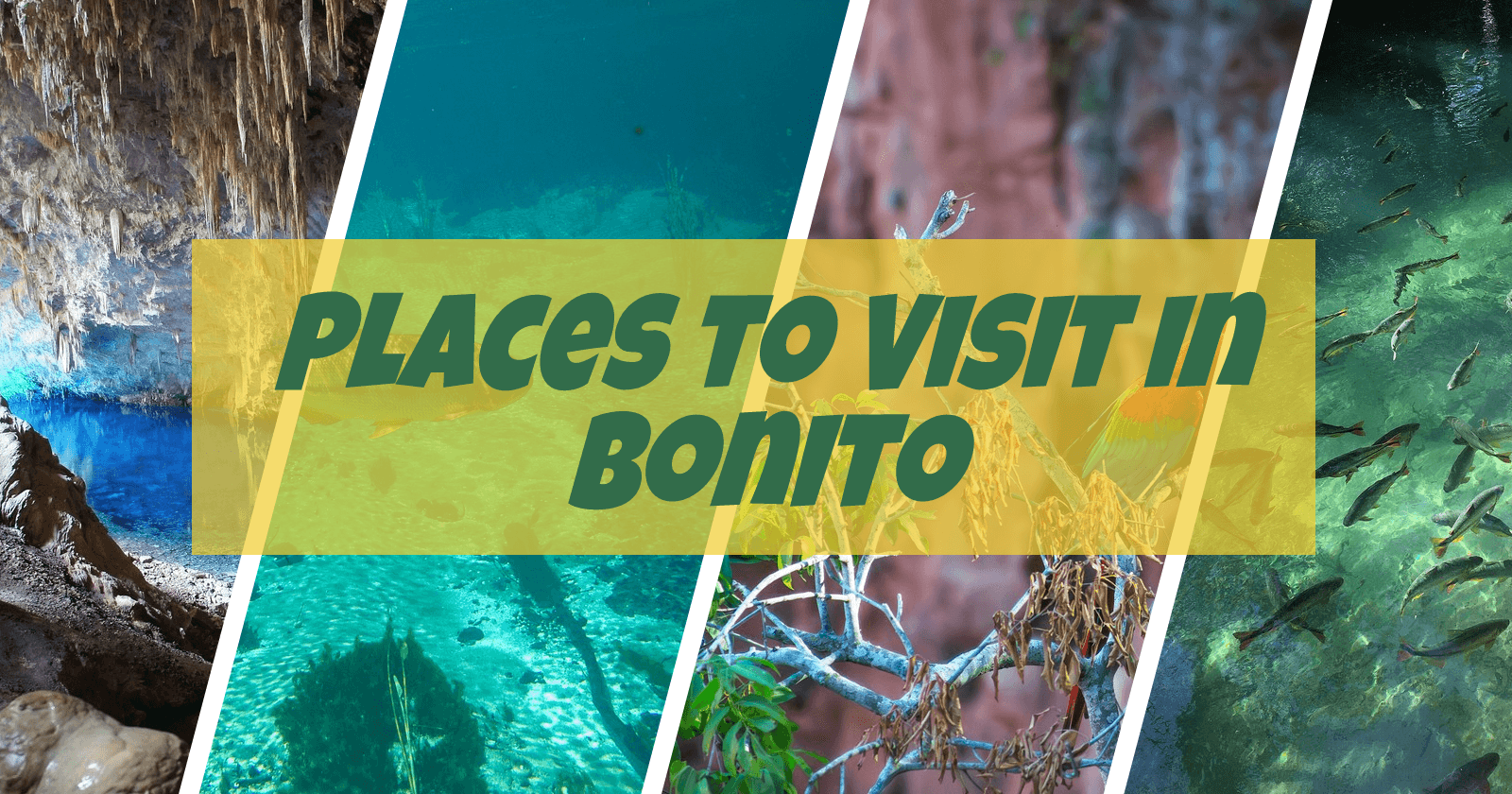 Best Tourist Attractions in Bonito Brazil