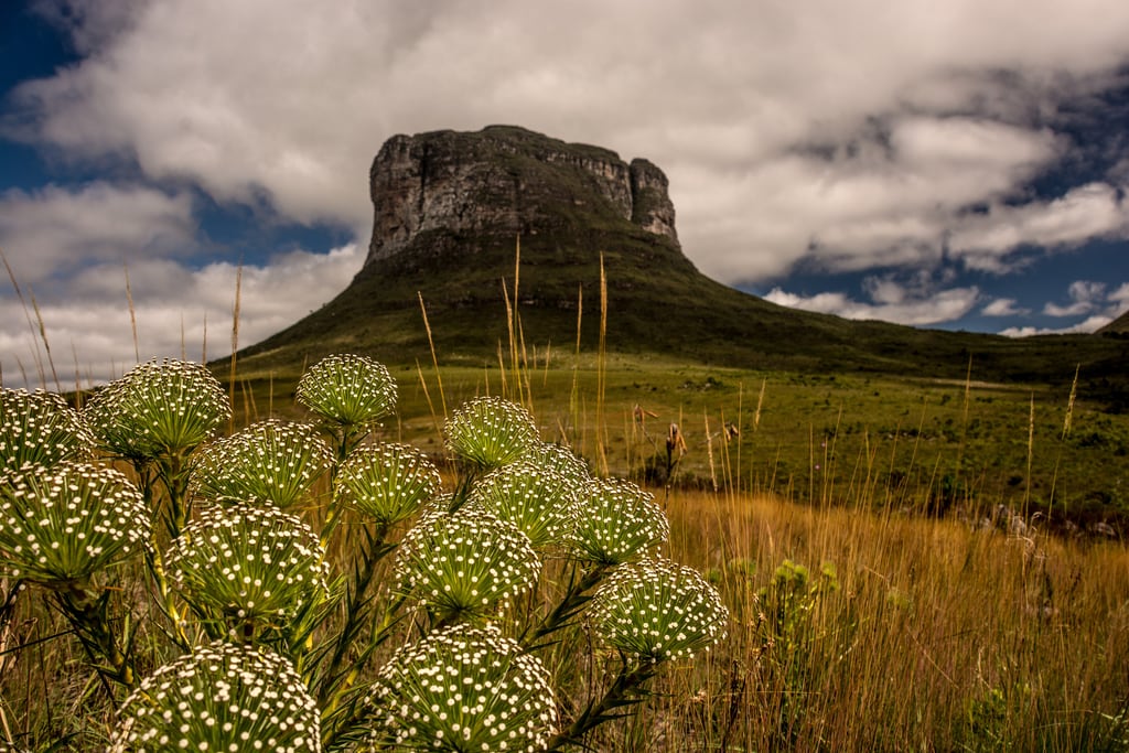 The Morrão and the tablelands of the Serra do Sincorá inside the national park