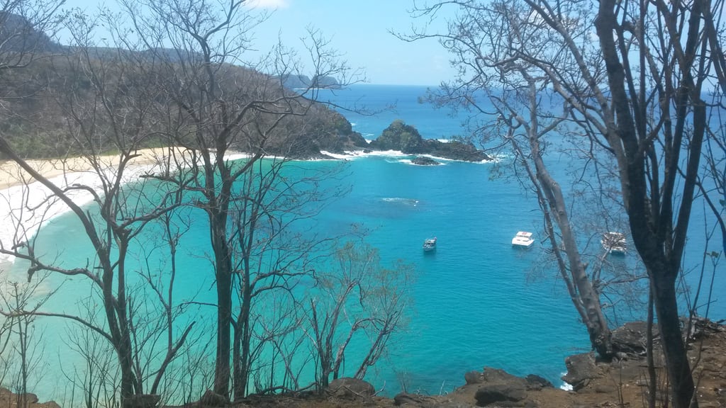 The rugged volcanic coastline of Fernando de Noronha