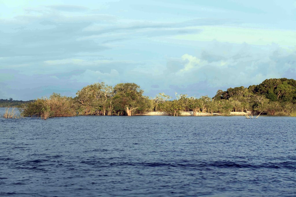 The Uaicurapá river near Parintins with forest along both banks