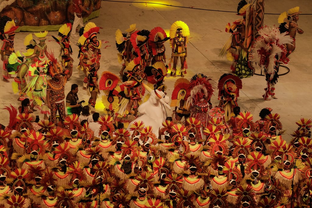 Performers in feathered costume during an indigenous ritual sequence at the festival