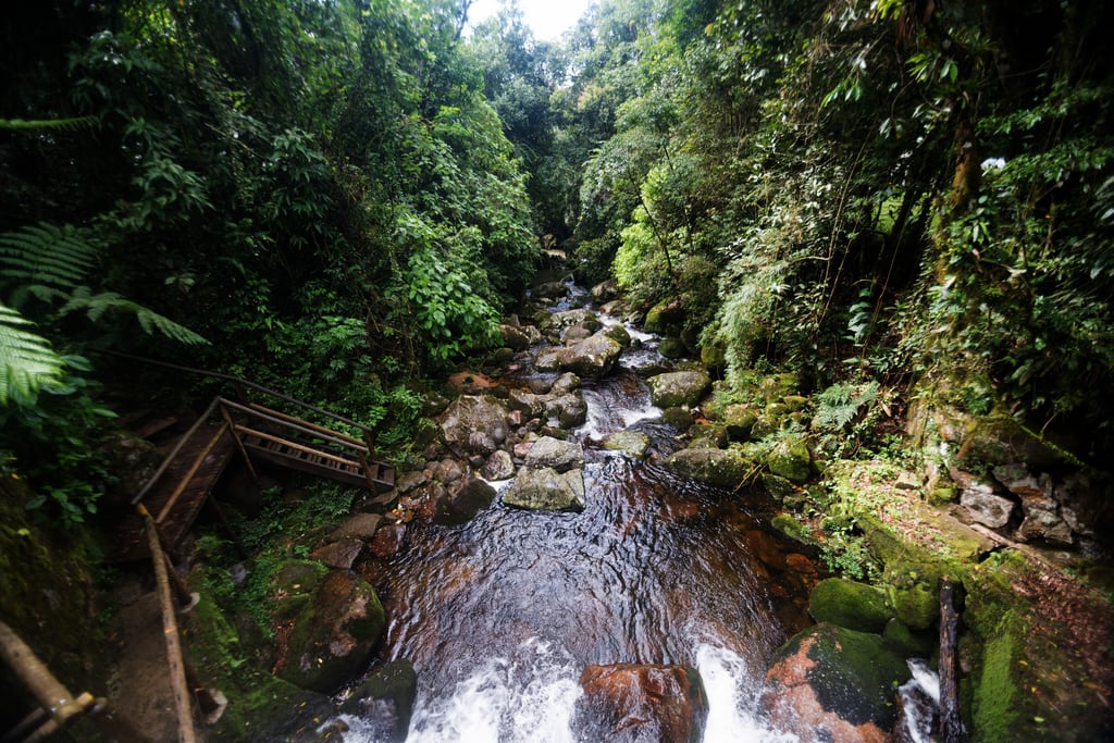 Forest and rock formations in Serra dos Órgãos National Park, Teresópolis