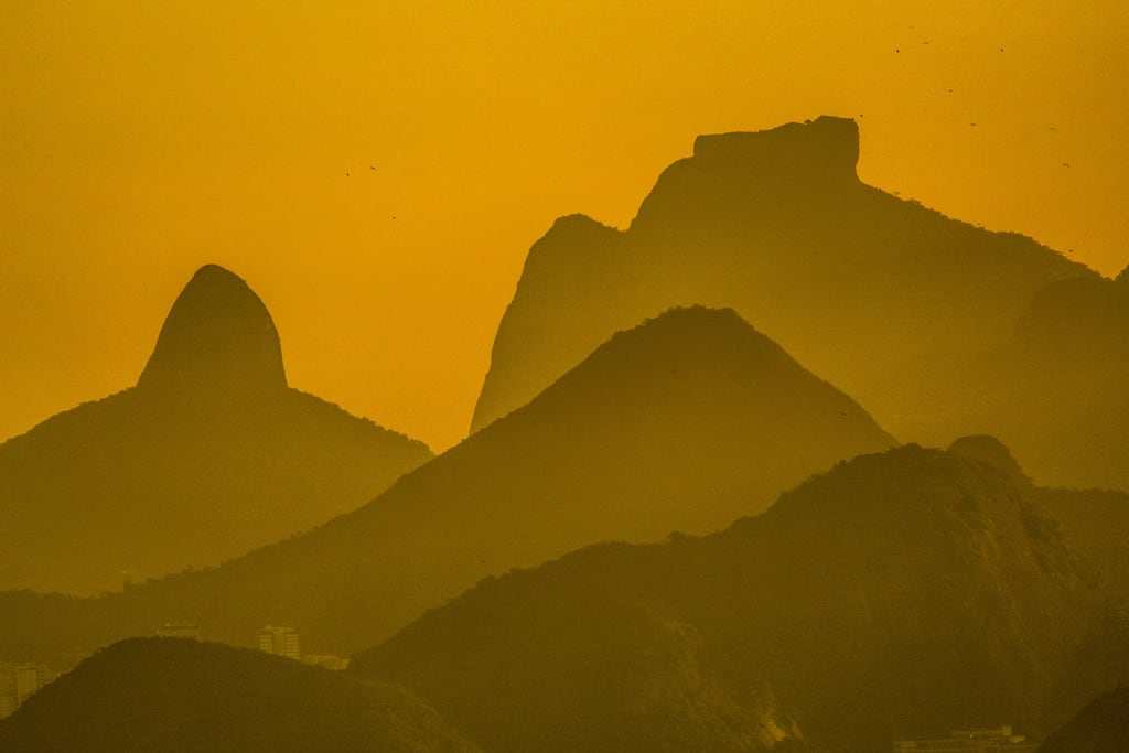 Rainforest in Tijuca National Park, Rio de Janeiro